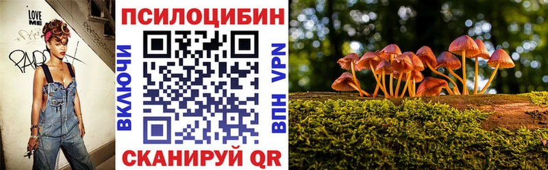 Купить  Рязань  Галлюциногенные грибы Psilocybe 